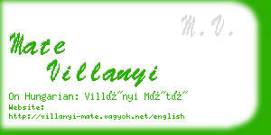 mate villanyi business card